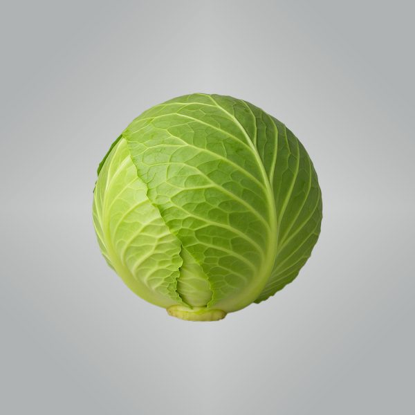 Cabbage Green