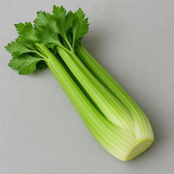 Celery Sticks