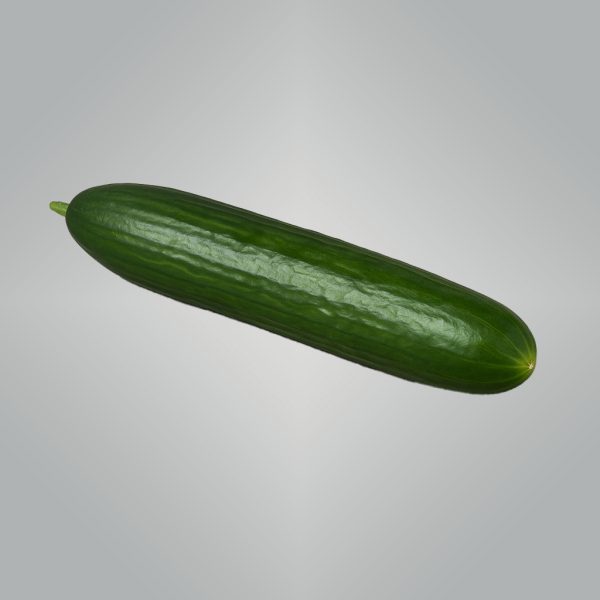 Cucumber