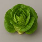Lettuce