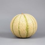 Melon Cantaloupe