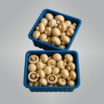 Mushroom Honest Farmer