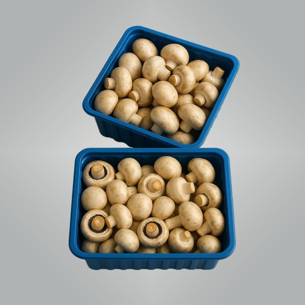 Mushroom Honest Farmer